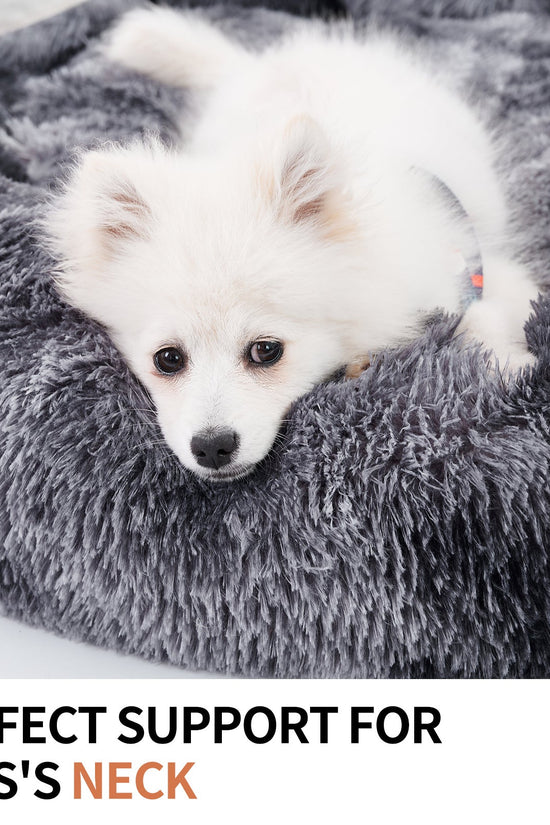 Bear Hug™ Cozy Pet Lounge - Jolly Lulu Pets