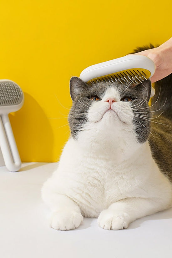 Cat & Dog Grooming Brush – Pet Hair Cleaner Comb for Long & Short Hair - Jolly Lulu Pets