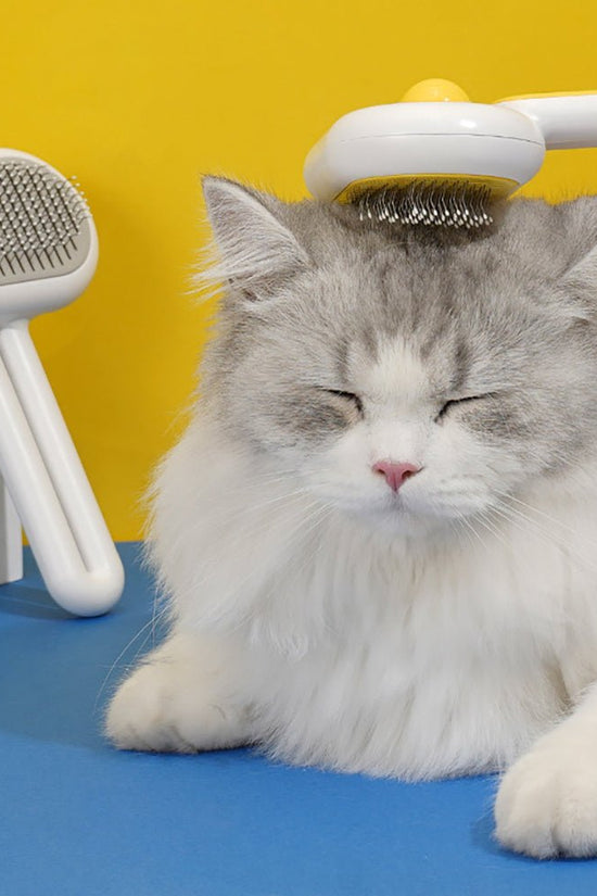 Cat & Dog Grooming Brush – Pet Hair Cleaner Comb for Long & Short Hair - Jolly Lulu Pets