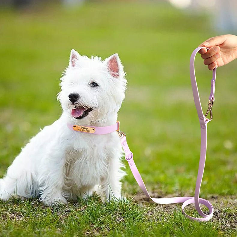 “custom dog collar with name engraving for medium dogs”

“adjustable cloth dog collar and leash set in pink”

“durable personalized pet collar with matching leash suit”