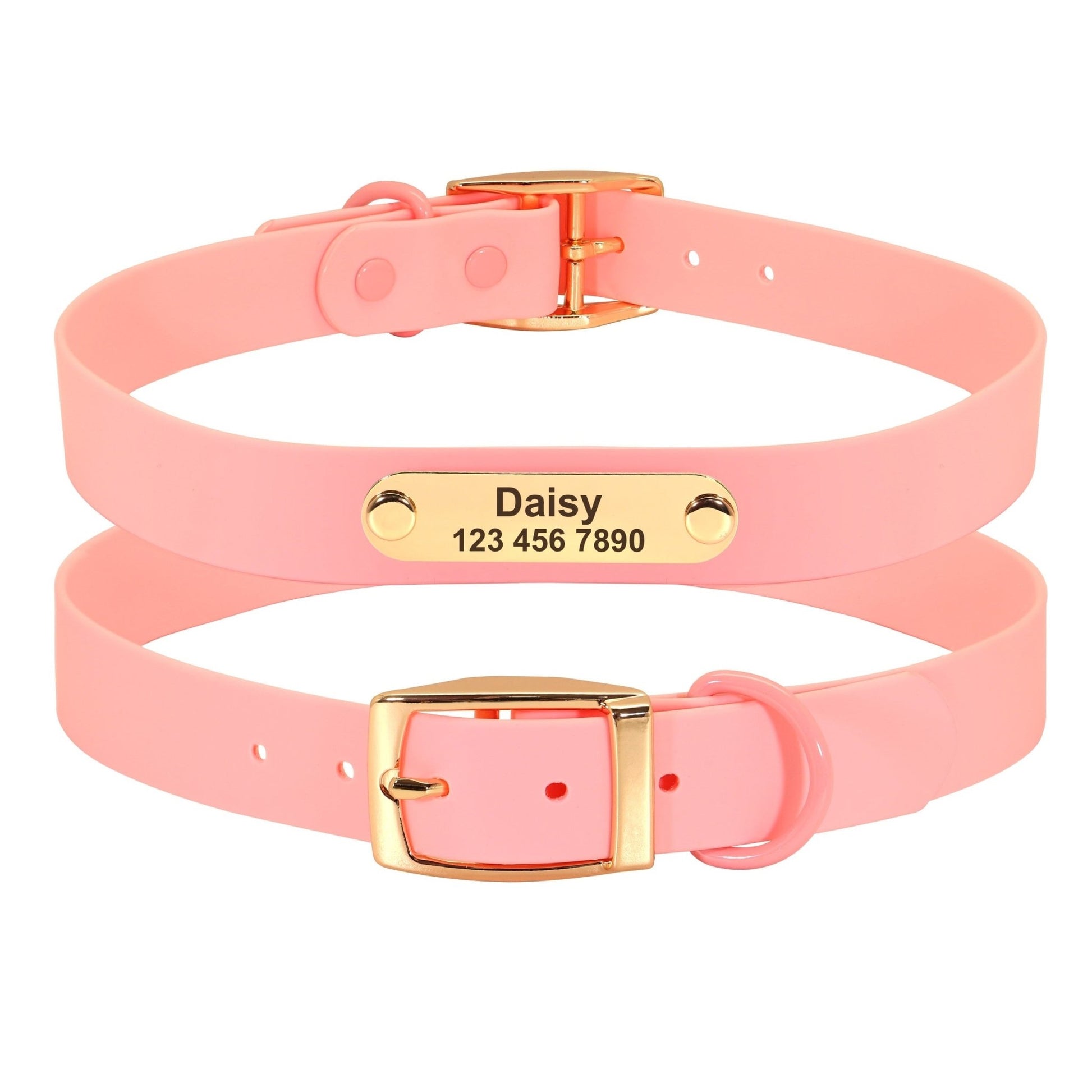 Collar Leash Medium Dog Teddy – Adjustable Personalized Collar & Leash Set for Small and Medium Dogs - Jolly Lulu Pets