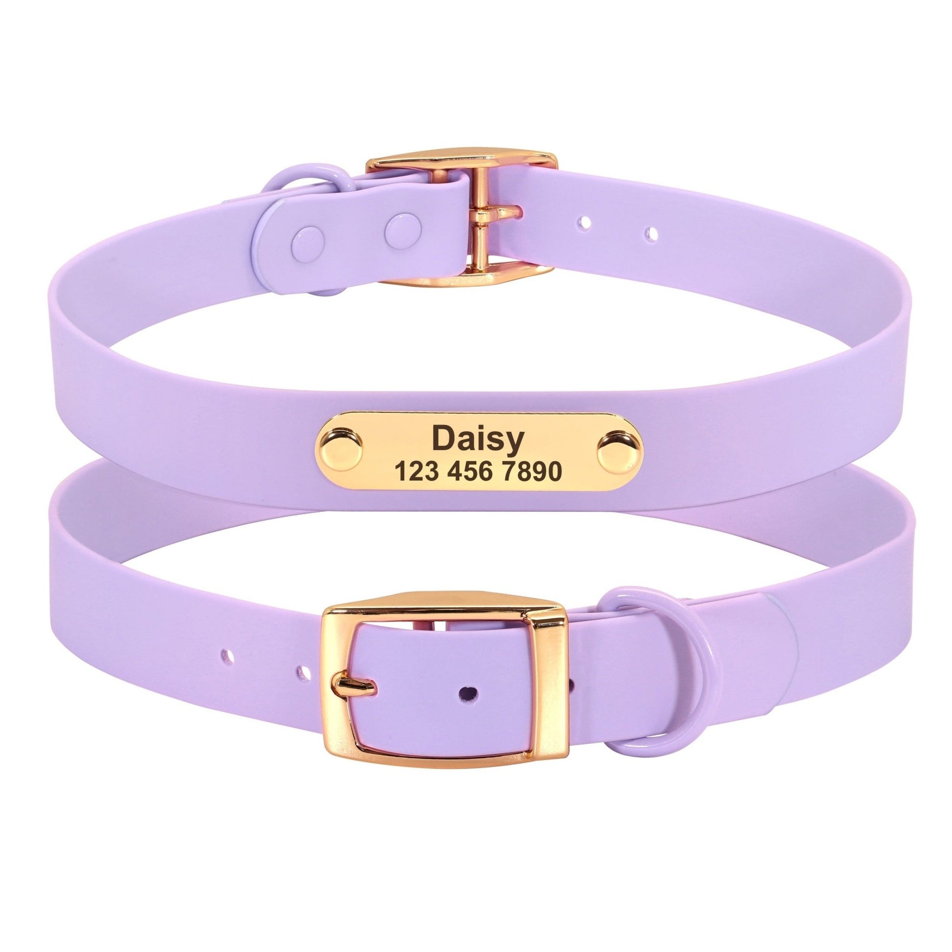 Collar Leash Medium Dog Teddy – Adjustable Personalized Collar & Leash Set for Small and Medium Dogs - Jolly Lulu Pets