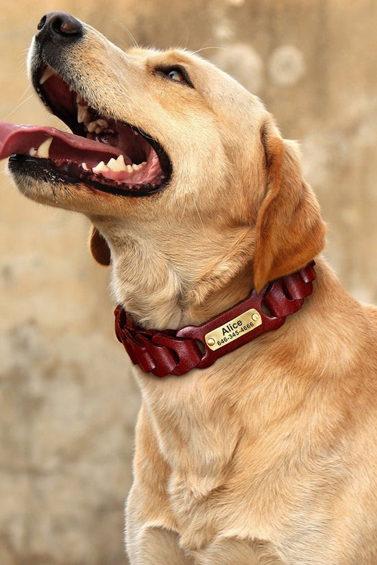 “braided leather dog collar for medium and large breeds”

“genuine cowhide dog collar with zinc alloy buckle”

“adjustable premium leather collar in vermilion and dark brown”