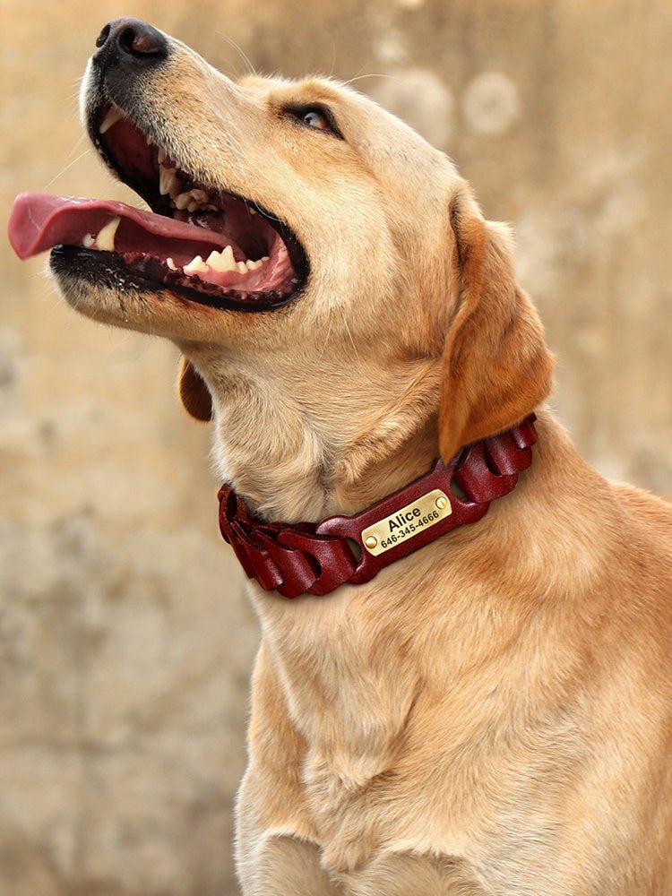 “braided leather dog collar for medium and large breeds”

“genuine cowhide dog collar with zinc alloy buckle”

“adjustable premium leather collar in vermilion and dark brown”