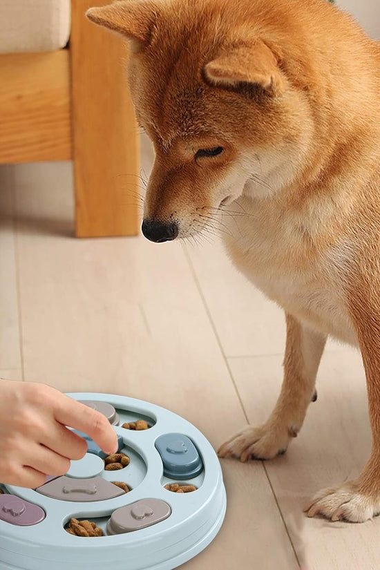 “Dog puzzle food feeder toy for small dogs and cats”

“Interactive slow feeder puzzle toy for mental stimulation”

“IQ training treat puzzle for puppies and indoor play”

