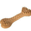  Toothbrush bone