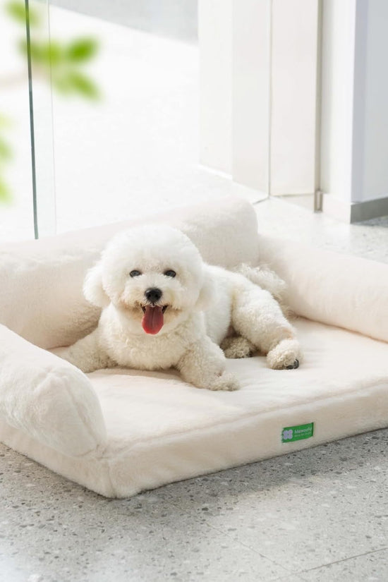MEWOOFUN Orthopedic Dog Bed For Small Or Medium Dogs - Jolly Lulu Pets