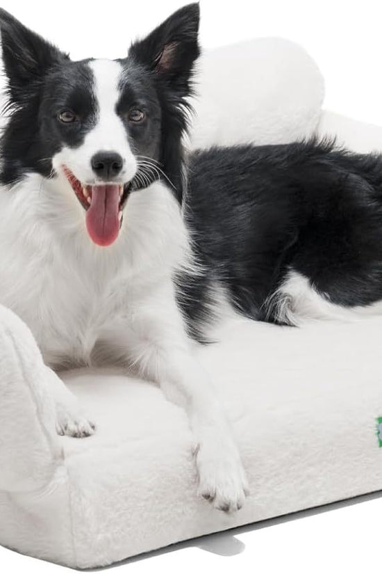 MEWOOFUN Orthopedic Dog Bed For Small Or Medium Dogs - Jolly Lulu Pets