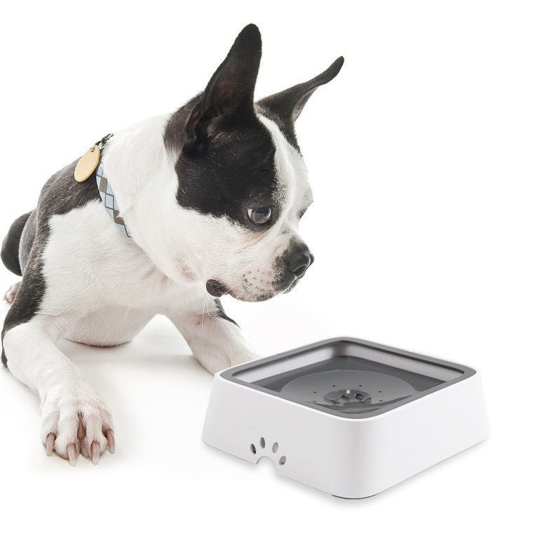 No - Spill Slow Feeder Pet Water Bowl – 2L Splash - Proof Dog & Cat Drinking Bowl - Jolly Lulu Pets