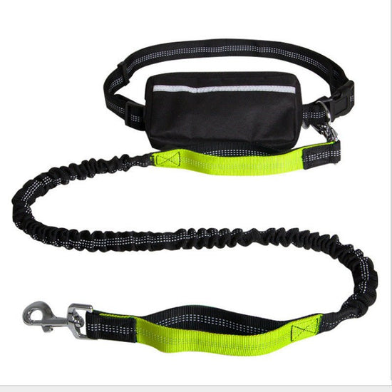 Nylon Reflective Retractable Running Hands - Free Dog Leash – Adjustable Belt & Shock - Absorbing Bungee Leash for Active Dog Owners - Jolly Lulu Pets