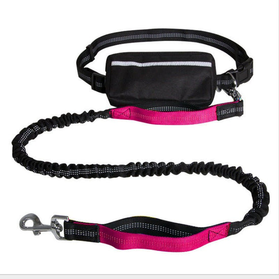 Nylon Reflective Retractable Running Hands - Free Dog Leash – Adjustable Belt & Shock - Absorbing Bungee Leash for Active Dog Owners - Jolly Lulu Pets