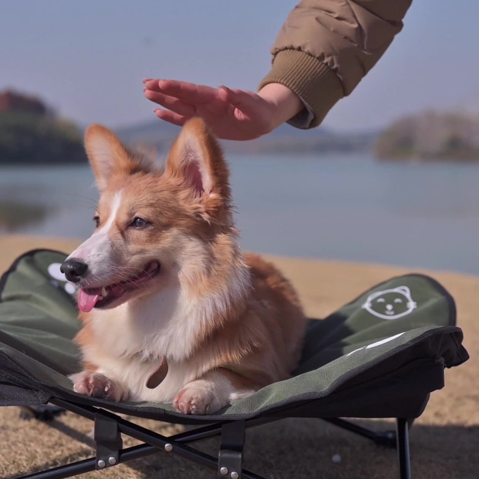 Outdoor Detachable and Washable Pet Folding Bed - Jolly Lulu Pets