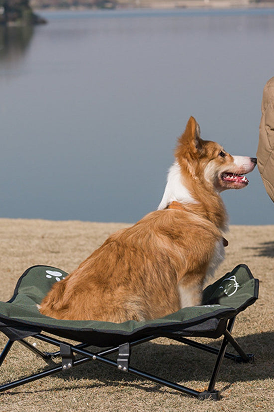 Outdoor Detachable and Washable Pet Folding Bed - Jolly Lulu Pets