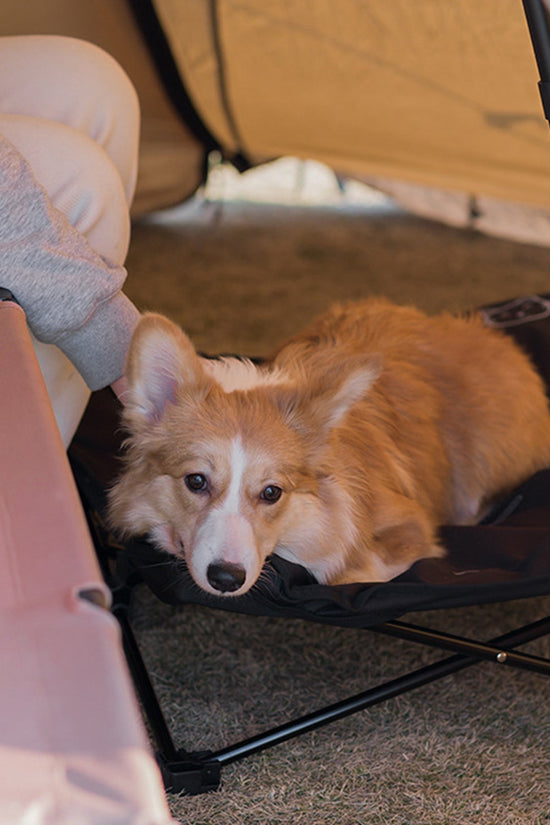 Outdoor Detachable and Washable Pet Folding Bed - Jolly Lulu Pets