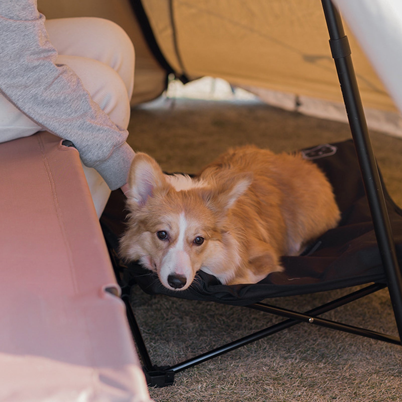 Outdoor Detachable and Washable Pet Folding Bed - Jolly Lulu Pets