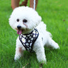 “breathable dog harness and leash set for small to large dogs”

“adjustable no-pull harness with leash in printed styles”

“fashion dog harness vest with matching rope leash”