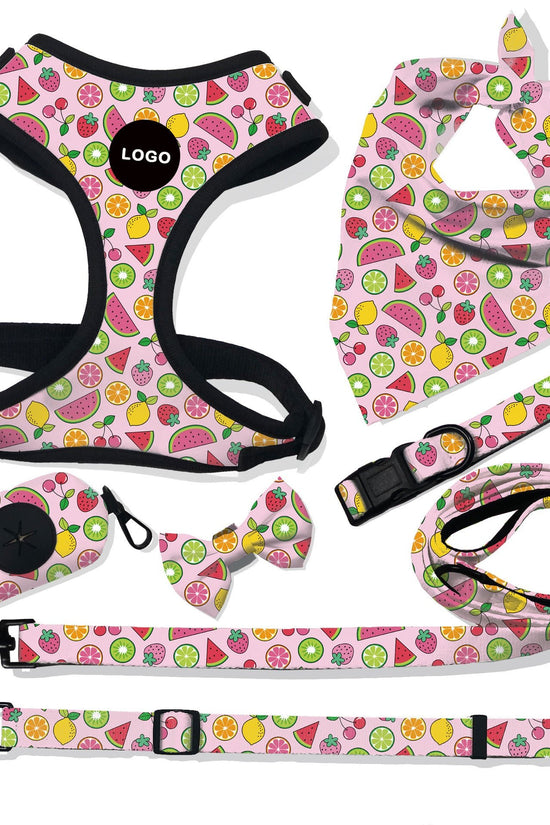 “breathable dog harness and leash set for small to large dogs”

“adjustable no-pull harness with leash in printed styles”

“fashion dog harness vest with matching rope leash”