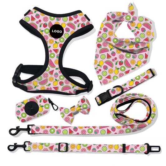 “breathable dog harness and leash set for small to large dogs”

“adjustable no-pull harness with leash in printed styles”

“fashion dog harness vest with matching rope leash”