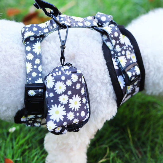 “breathable dog harness and leash set for small to large dogs”

“adjustable no-pull harness with leash in printed styles”

“fashion dog harness vest with matching rope leash”