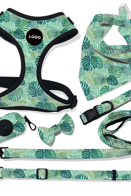 “breathable dog harness and leash set for small to large dogs”

“adjustable no-pull harness with leash in printed styles”

“fashion dog harness vest with matching rope leash”