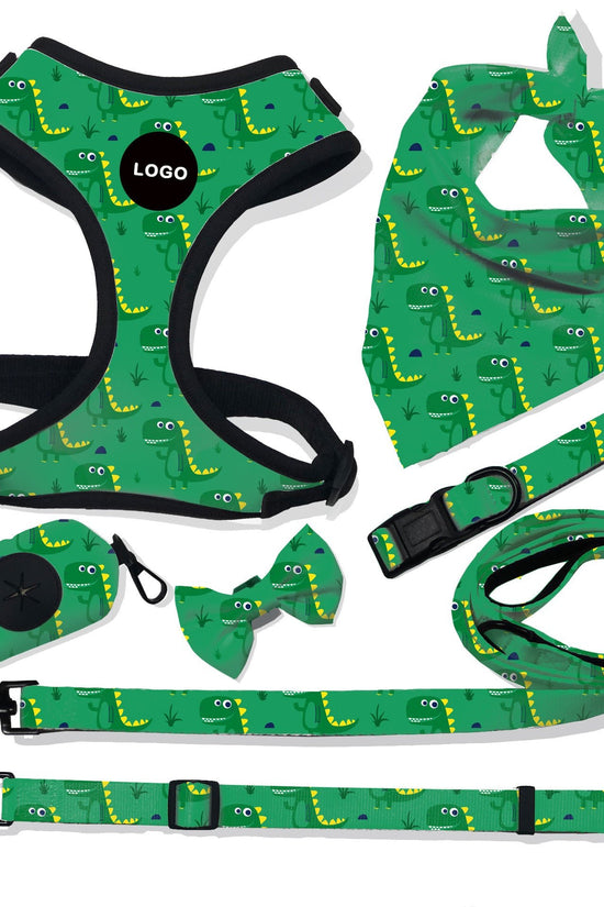 “breathable dog harness and leash set for small to large dogs”

“adjustable no-pull harness with leash in printed styles”

“fashion dog harness vest with matching rope leash”
