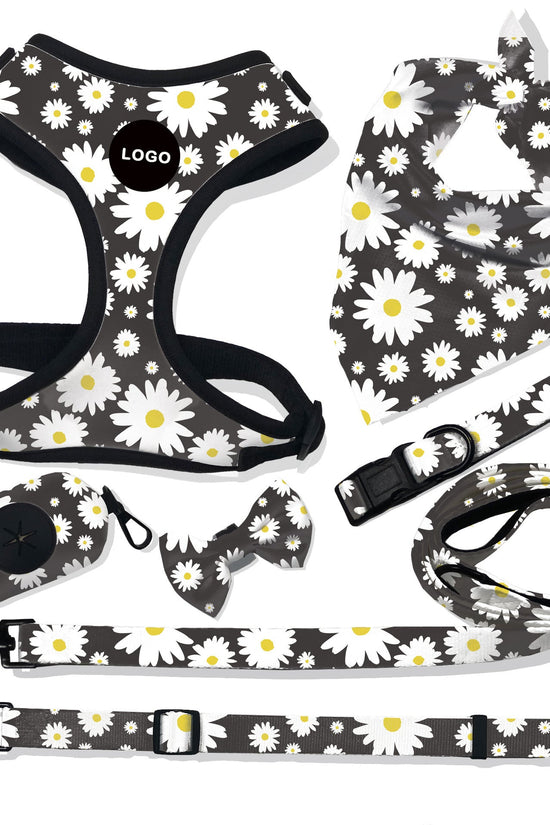 “breathable dog harness and leash set for small to large dogs”

“adjustable no-pull harness with leash in printed styles”

“fashion dog harness vest with matching rope leash”