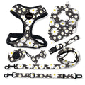  Black daisies