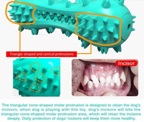 “Durable rubber dog chew toy for dental care”

“Serrated molar stick for small dogs”

“Dog cleaning toy with sound feature”

