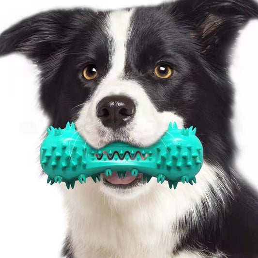 “Durable rubber dog chew toy for dental care”

“Serrated molar stick for small dogs”

“Dog cleaning toy with sound feature”

