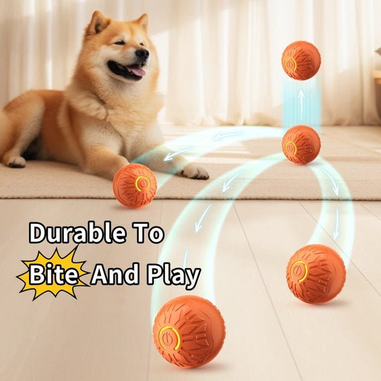 Pets Electric Jumping Ball – Automatic Bouncing, Luminous Silicone Toy for Dogs - Jolly Lulu Pets