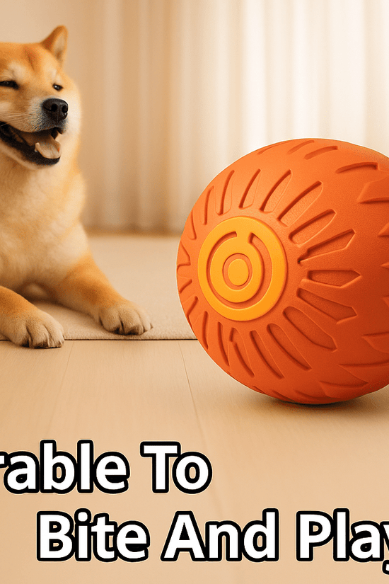 Pets Electric Jumping Ball – Automatic Bouncing, Luminous Silicone Toy for Dogs - Jolly Lulu Pets